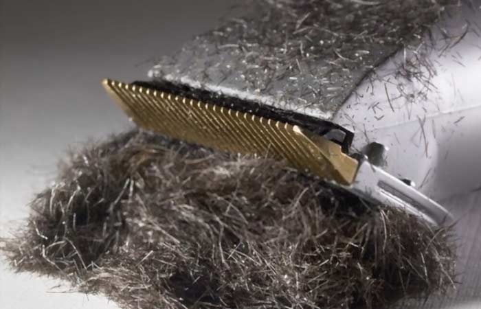 Hair Trimmer Maintenance