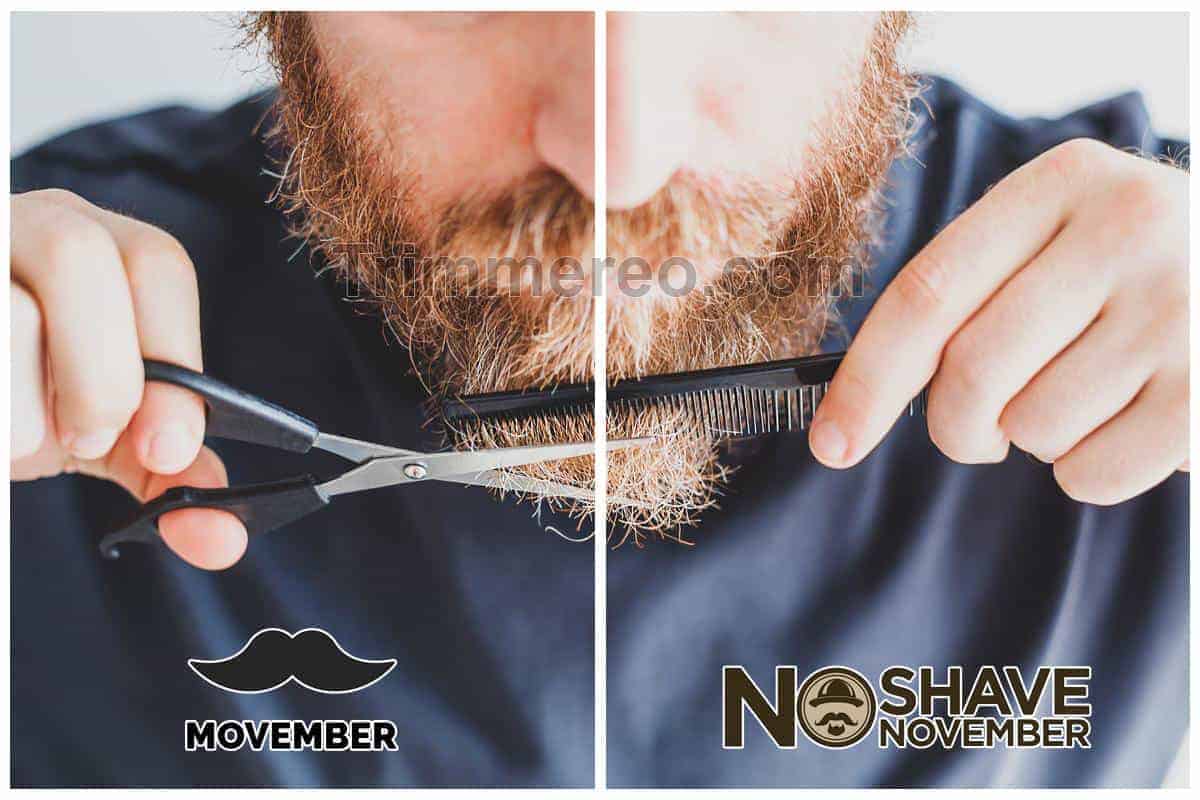 movember v no-shave november